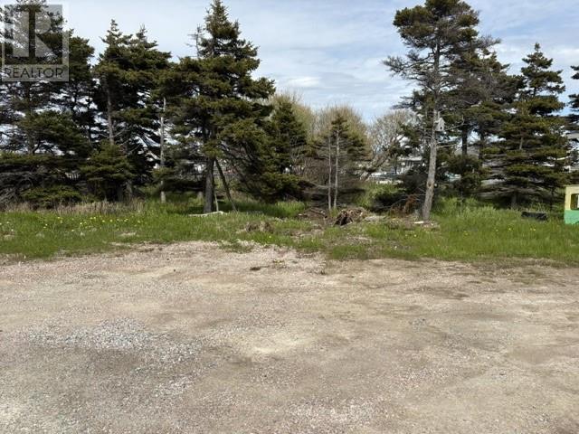28 Westland Drive - 7