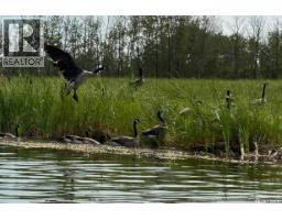 13 Cambri Road, Delaronde Lake, SK S0J0E0 Photo 7