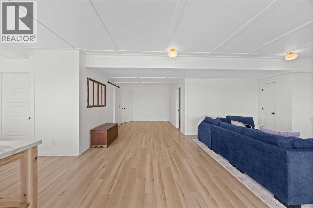 Basement Living Room