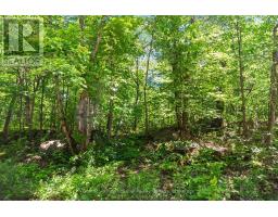 43 Burnside Bridge Road, Mcdougall, ON P2A2W9 Photo 6