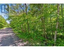 43 Burnside Bridge Road, Mcdougall, ON P2A2W9 Photo 7