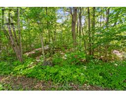 43 Burnside Bridge Road, Mcdougall, ON P2A2W9 Photo 8