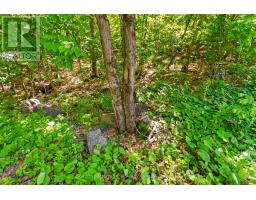 43 Burnside Bridge Road, Mcdougall, ON P2A2W9 Photo 9