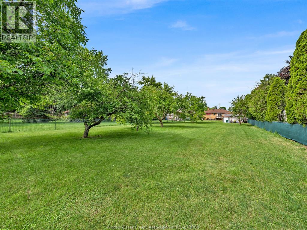 2528 Jos St Louis - 50