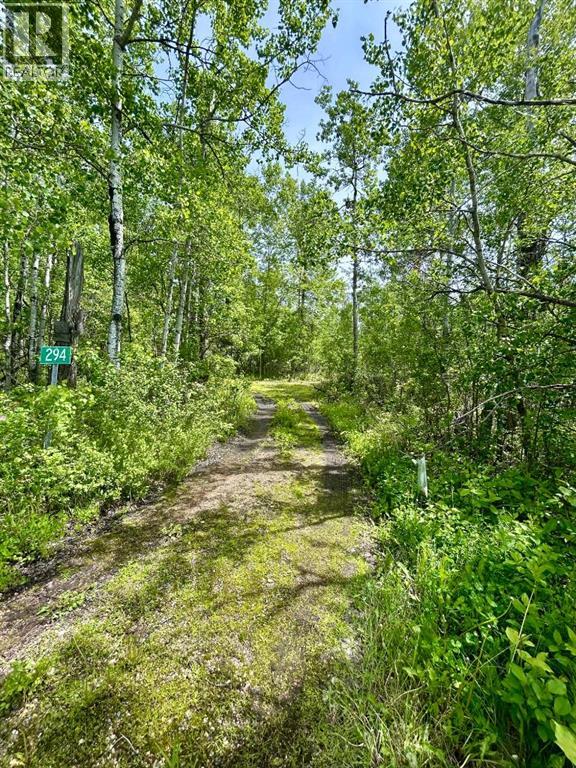 294, 63303 867 Highway, Rural Lac La Biche County, Alberta, T0A2C0