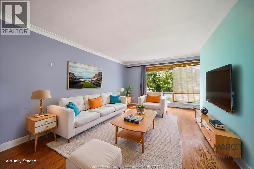 29 FERNANDO - Image 6