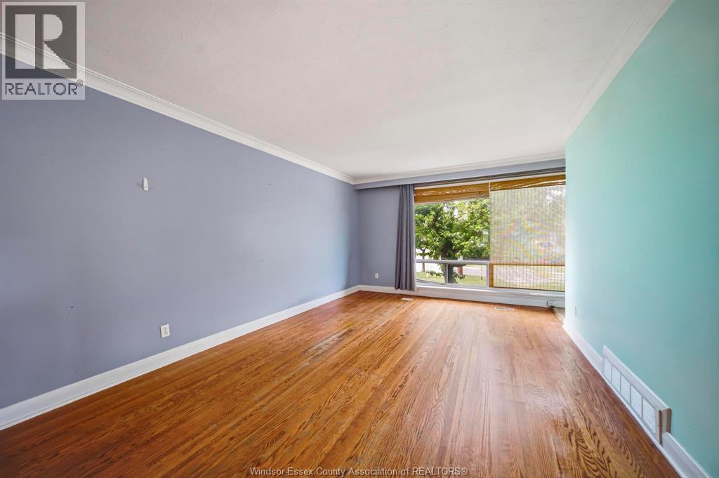 29 FERNANDO - Image 7