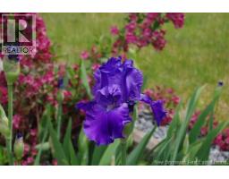 160 Meenans Cove Road, Quispamsis, NB E2G1Z4 Photo 37
