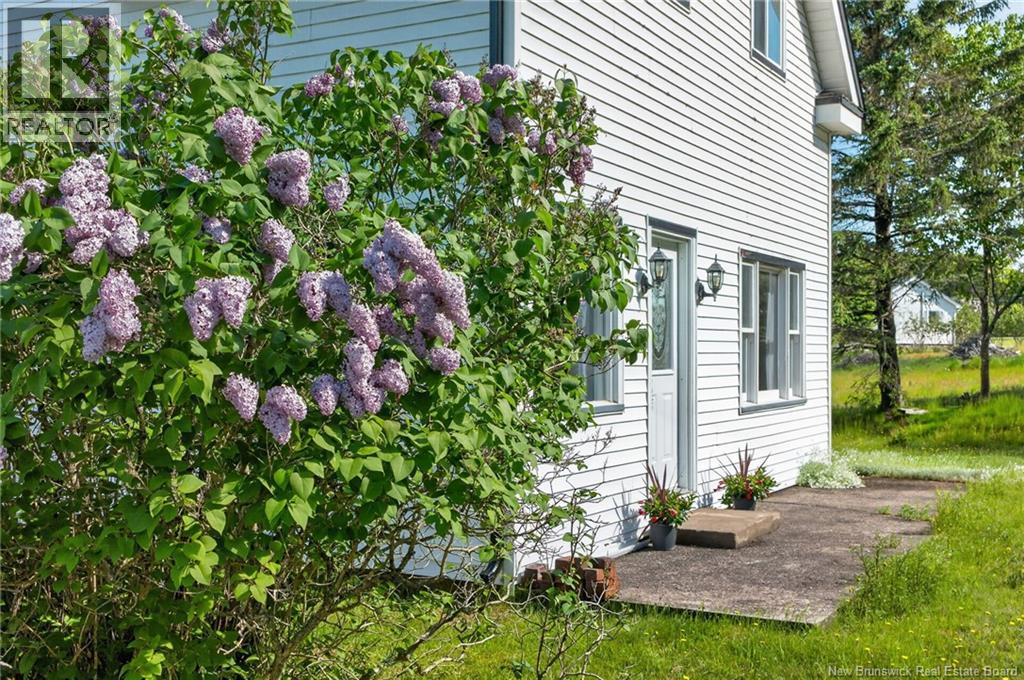 6 Crow Island Road - 34