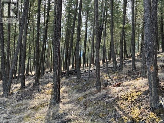 2520 Cobblestone Circle, Invermere — photo 3
