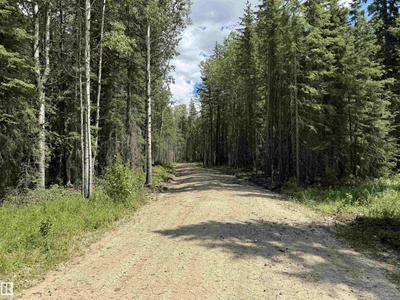 RR171 North of HWY 748 - Photo 7