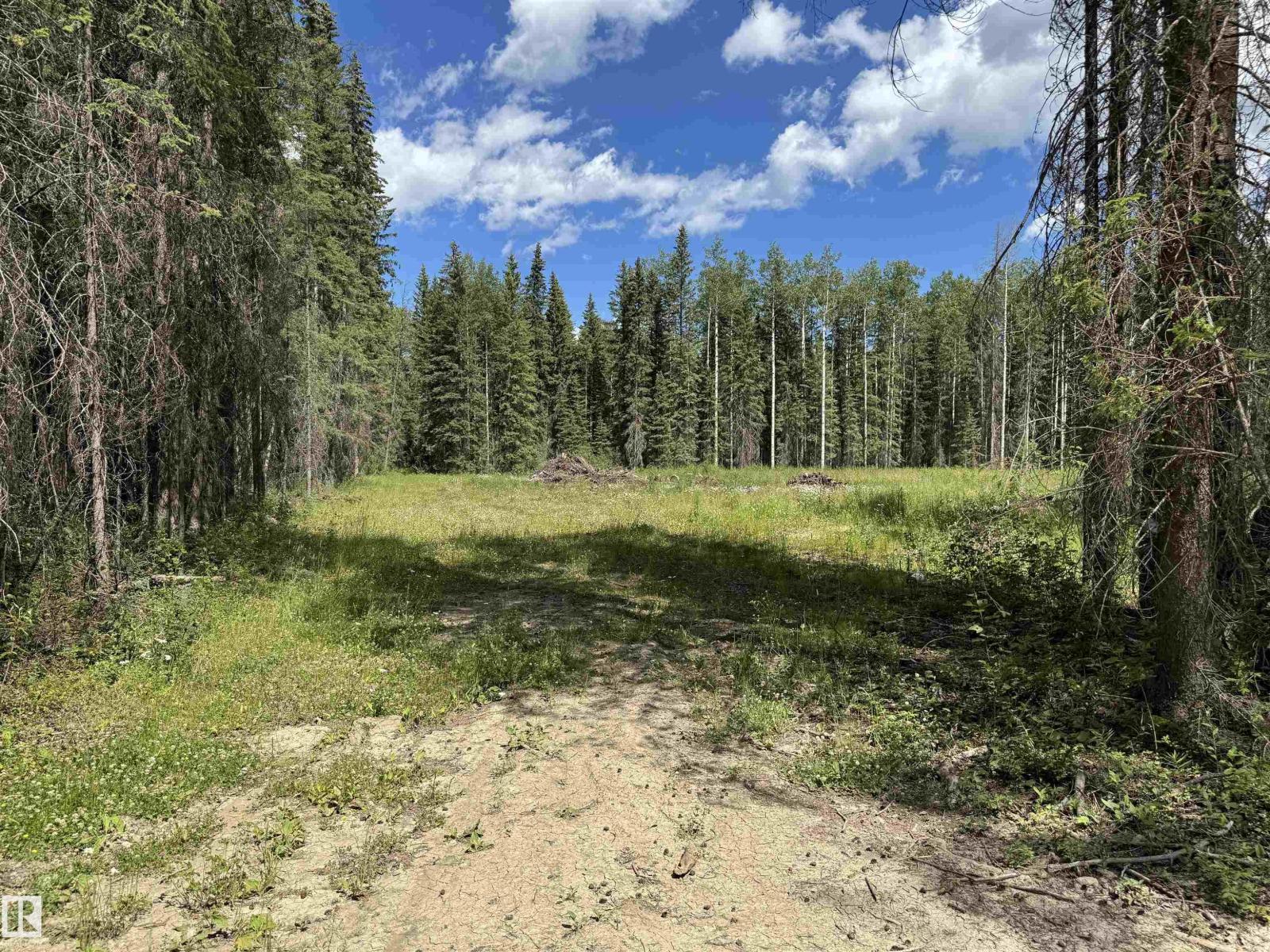 RR171 North of HWY 748 - Photo 8