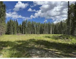 Rr171 North Of Hwy 748, Rural Yellowhead, AB T7E3L1 Photo 9