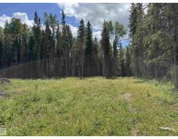 Rr171 North Of Hwy 748, Rural Yellowhead, AB T7E3L1 Photo 10