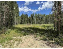 Rr171 North Of Hwy 748, Rural Yellowhead, AB T7E3L1 Photo 8