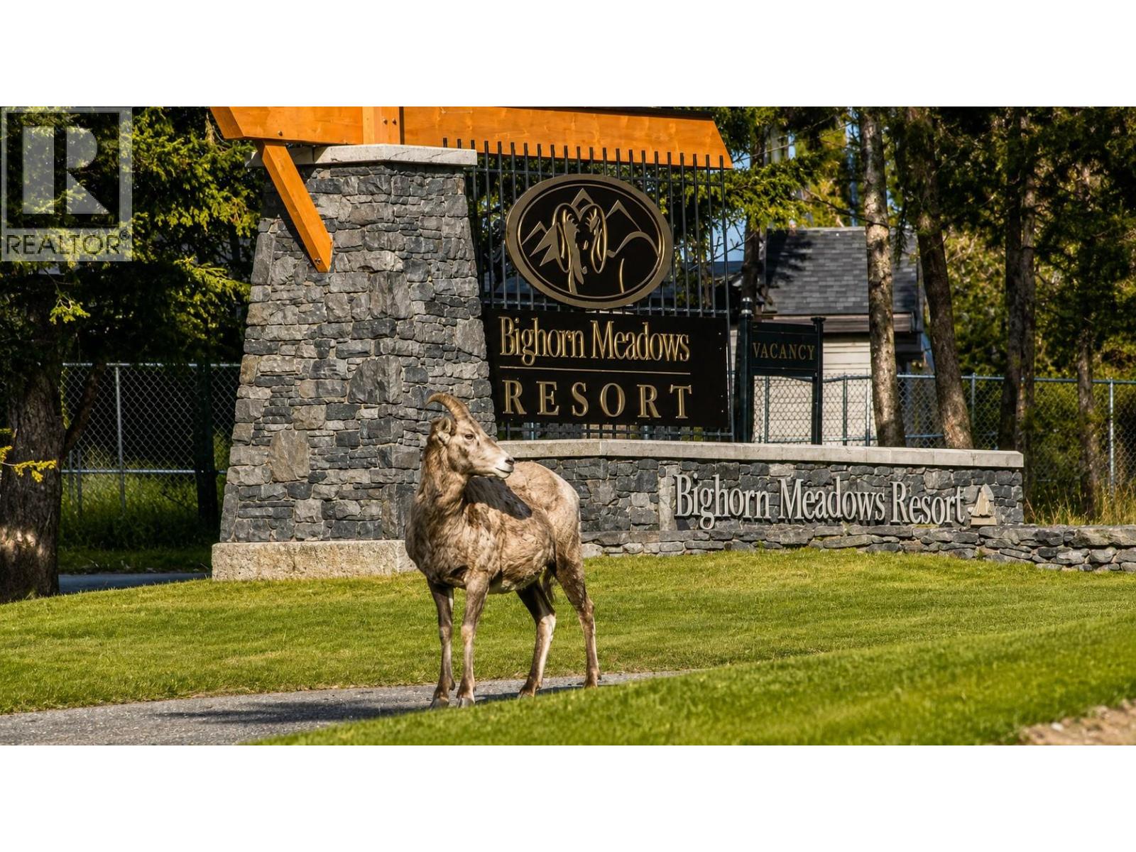 #715 E 700 BIGHORN Boulevard - Image 60