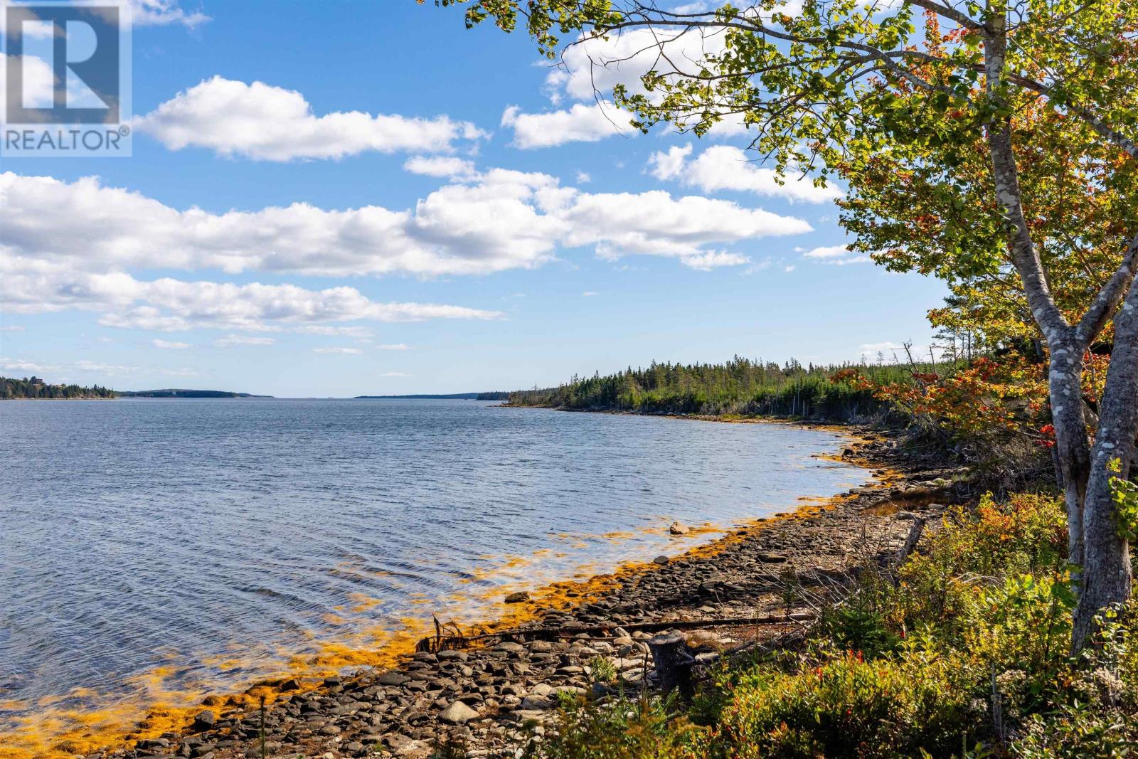 659 West Liscomb Point Road - 35