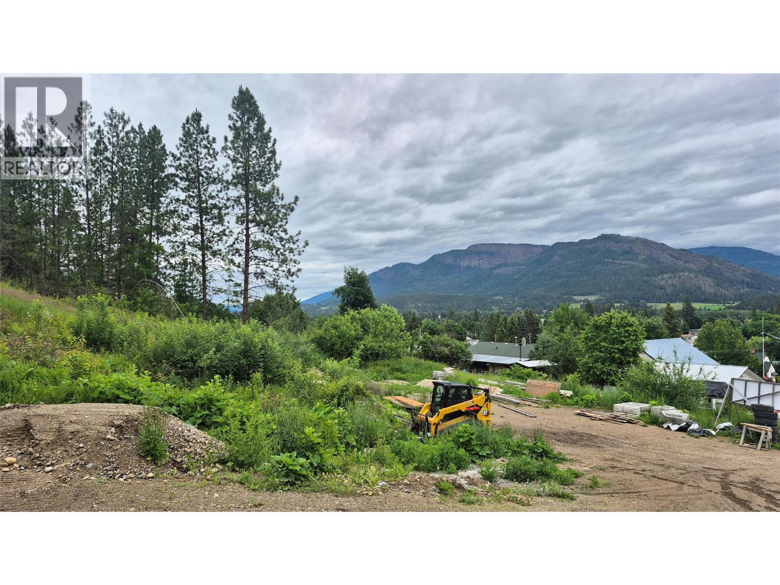  806 Cliff Avenue, Enderby