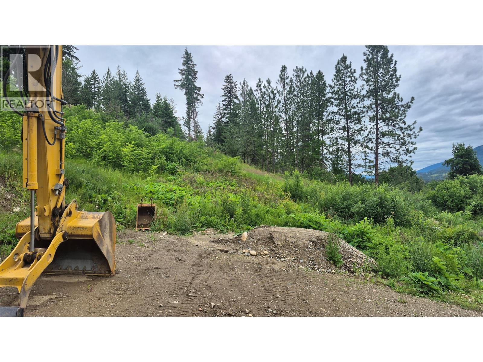  806 Cliff Avenue, Enderby