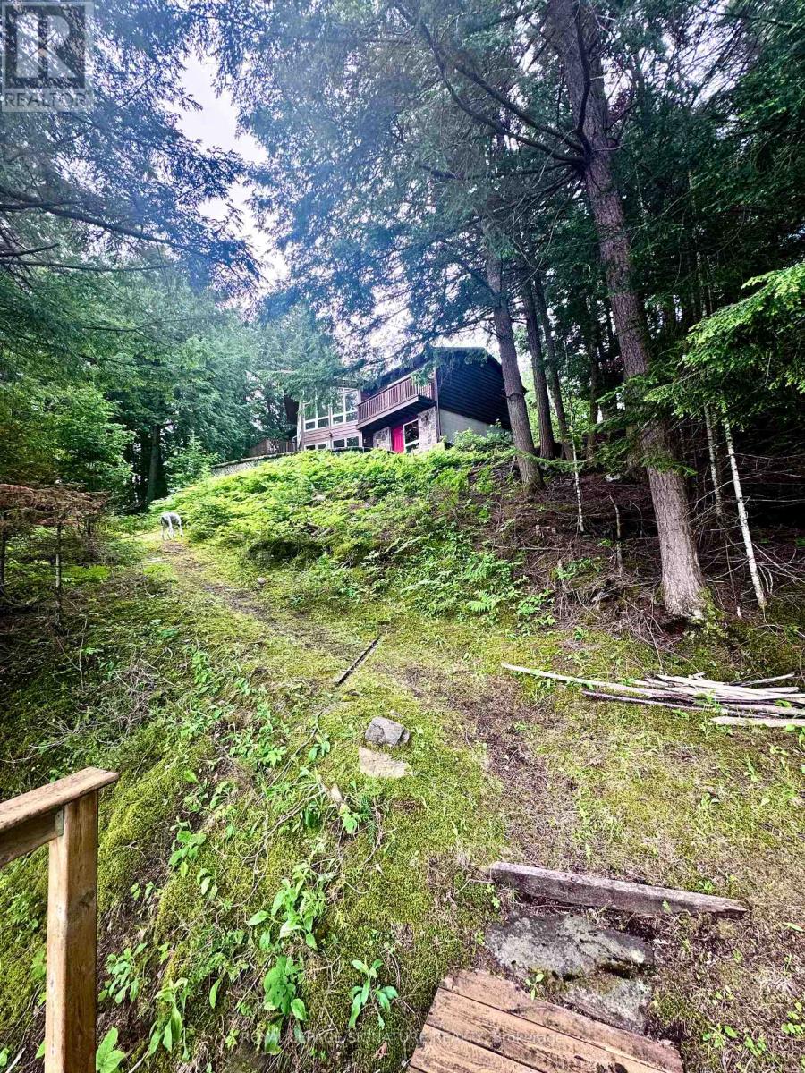 1295 BEAVERDAM TRAIL - 29