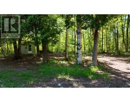 42 Warner Bay Road, Northern Bruce Peninsula, ON N0H2R0 Photo 22