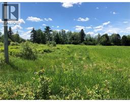 Lot Route 112, Colpitts Settlement, NB E4J2Z1 Photo 9