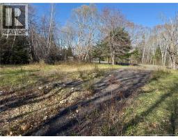 834 Northside Drive, Minto, NB E4B3G2 Photo 7