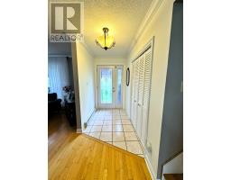 20 Elmwood Crescent thumbnail 10