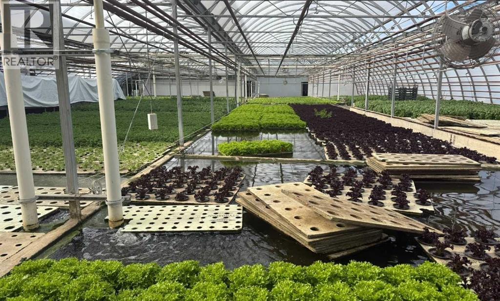 Hydroponics in action