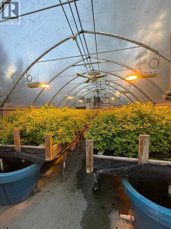 Small 20x40' hydroponics house (mint)