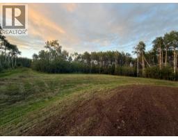 90058b Twp 720, Wembley, AB T0H3S0 Photo 8