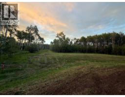 90058b Twp 720, Wembley, AB T0H3S0 Photo 7