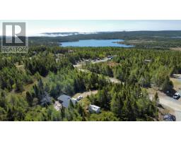 170 Mobile First Pond Road, Mobile, NL A0A3A0 Photo 25