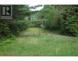 918008-918012 Portage Bay Road, Coleman, ON P0J1C0 Photo 26