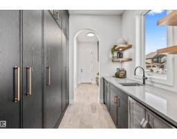Laundry room - 4667 Chegwin Wynd Sw, Edmonton, AB T6W4A7 Photo 11