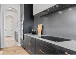 Bonus Room - 4667 Chegwin Wynd Sw, Edmonton, AB T6W4A7 Photo 10