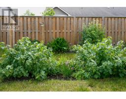 18 Dayton Court, Prince Edward County, ON K0K2T0 Photo 33