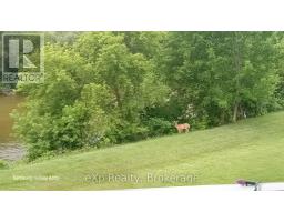 302 - 125 William Street N, Brockton, ON N0G2V0 Photo 33