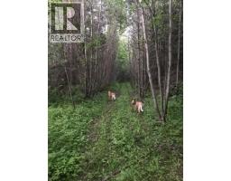 1475 Courtenay Brown Road, Bridesville, BC V0H1B0 Photo 34