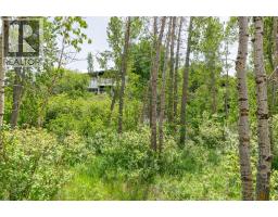 44 Lakeview Avenue, White Sands, AB T0C2L0 Photo 48