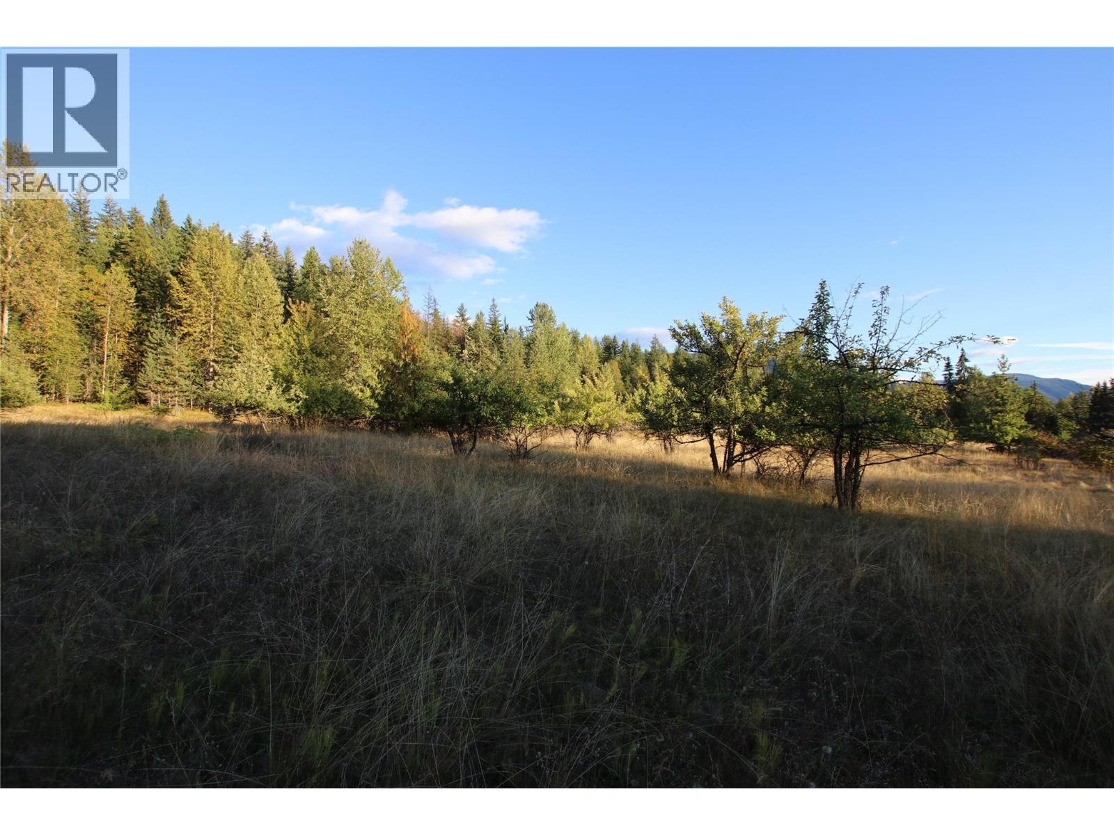 Lot 4 Alexander Road, Nakusp