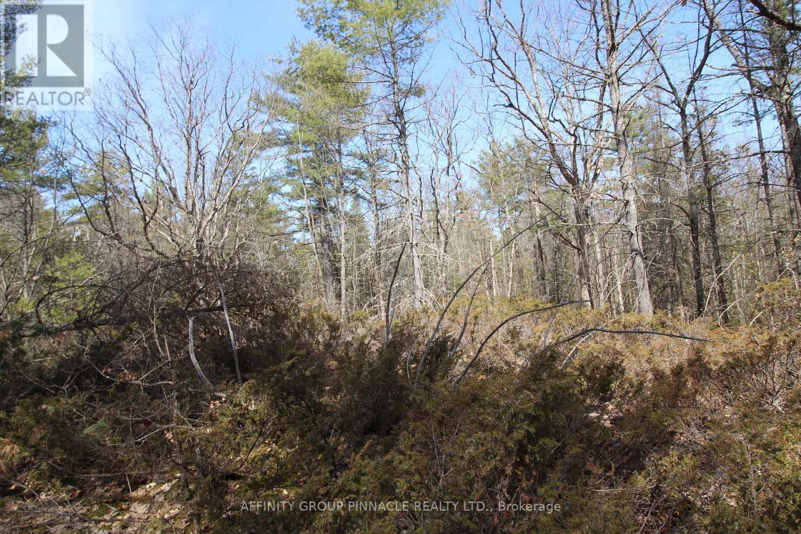 LOT 15 CONCESSION 9