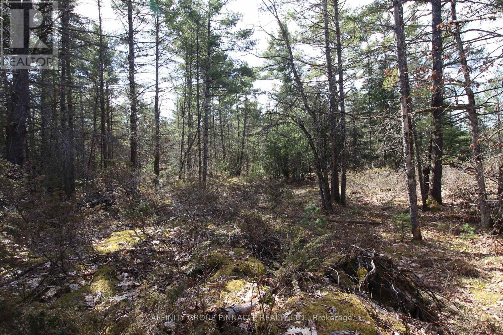 LOT 15 CONCESSION 9