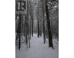 307251 Hockley Road, Mono, ON L9W6M9 Photo 45