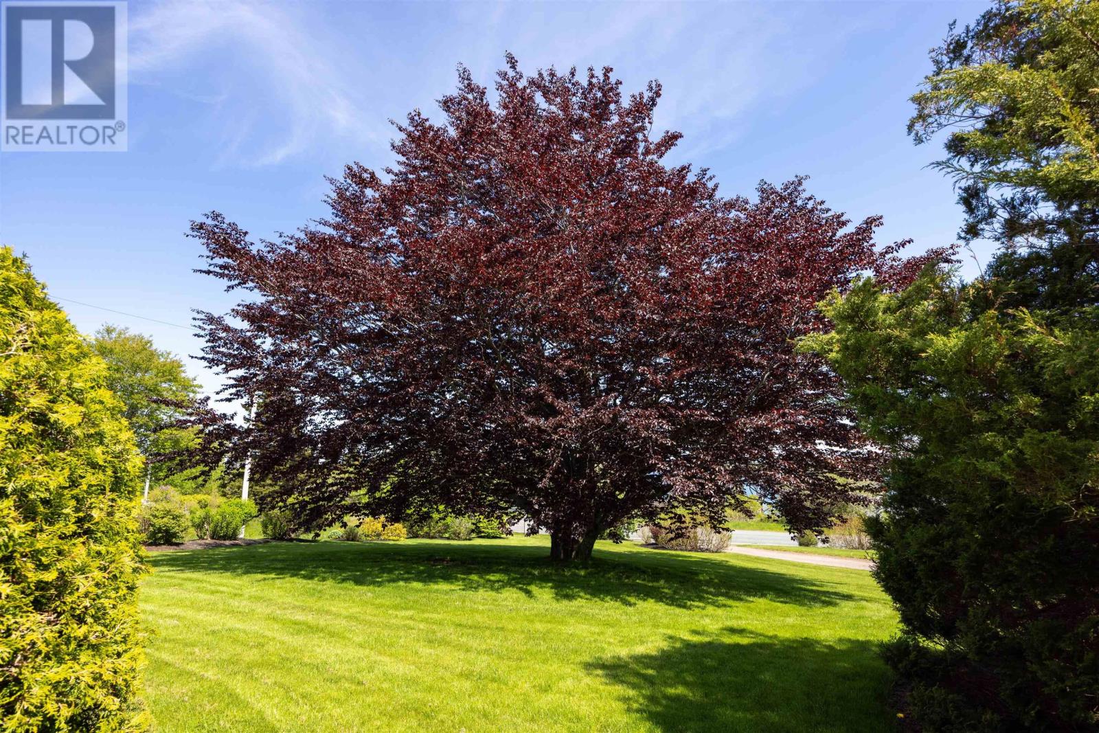 Property 38 of 39 of 59 MEECH AVENUE