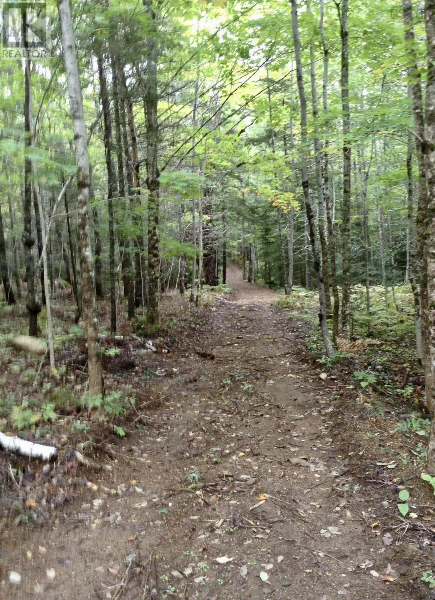 255 Virginia Road - 37