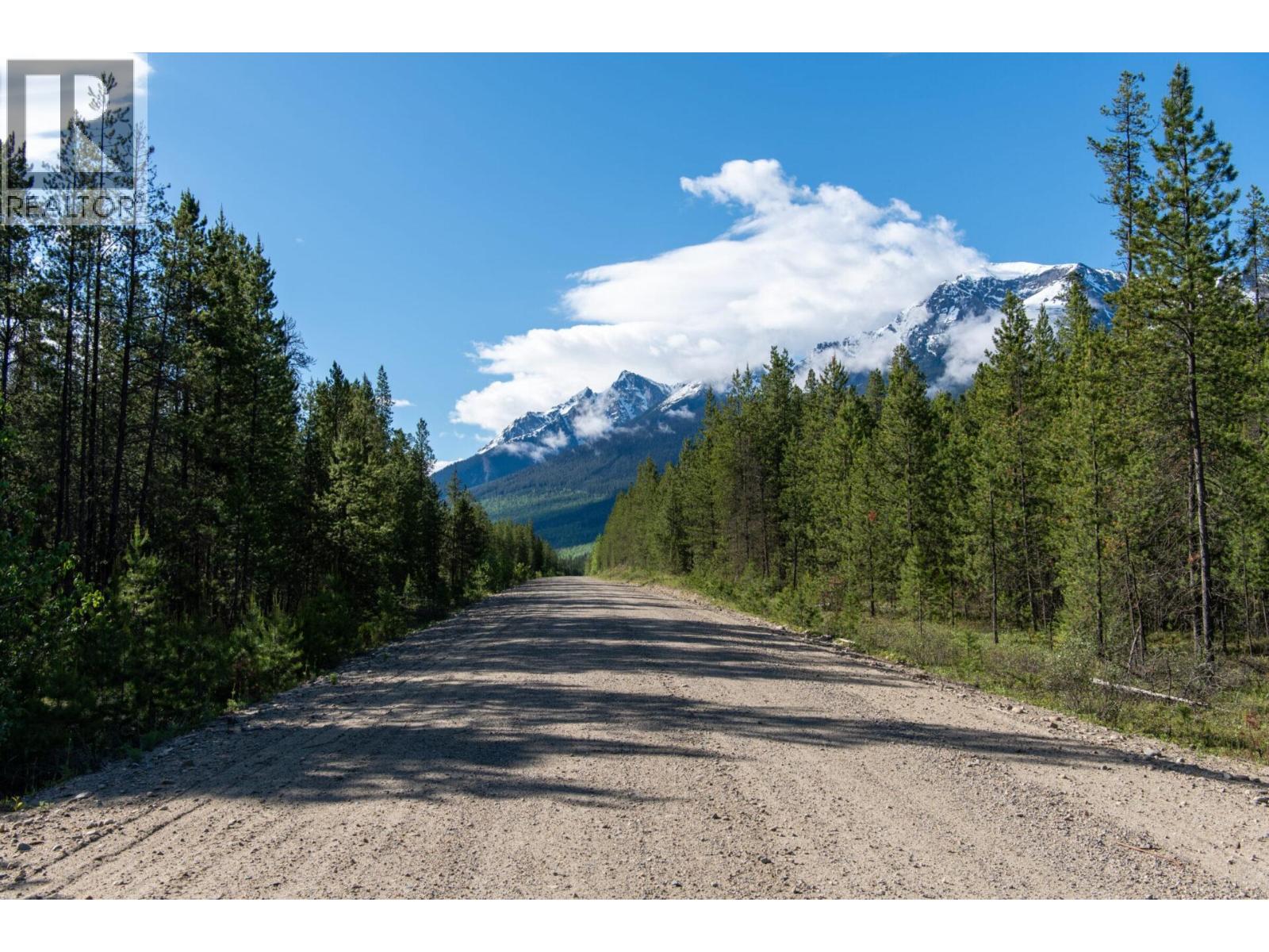 995 S CRANBERRY LAKE ROAD, Valemount — photo 3