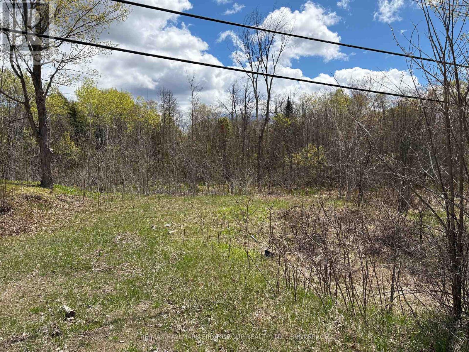 LOT 0 COUNTY ROAD 38, Frontenac (Frontenac Centre) — photo 3