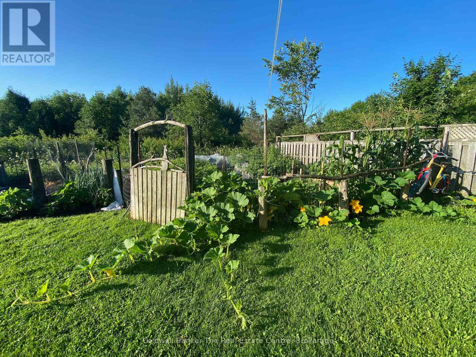 1229 COUNTY ROAD 124 - 41