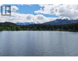 7068 Gun Lake West Road, Gold Bridge, BC V0K1P0 Photo 59